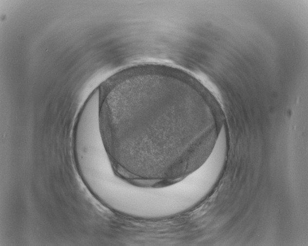 X0000088031287200705251107