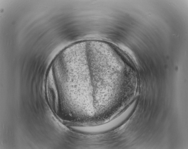 X0000088031288200705251107