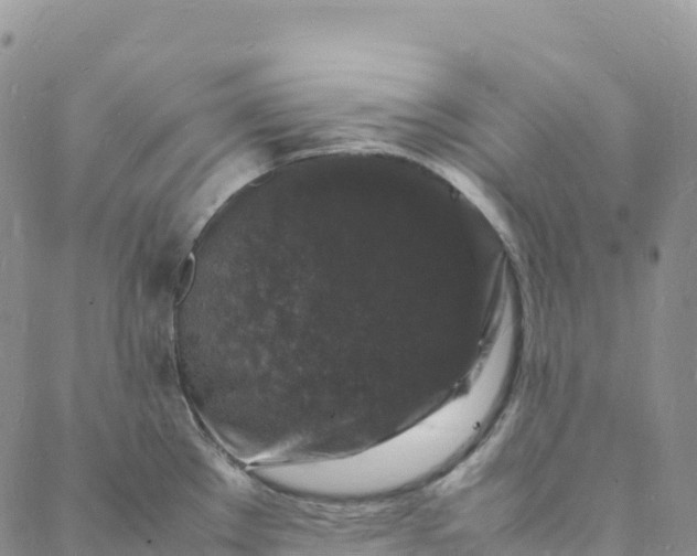 X0000088031289200705251107