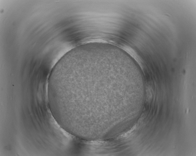 X0000088031290200705251107