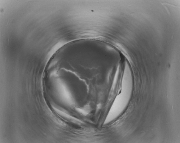 X0000088031291200705251107