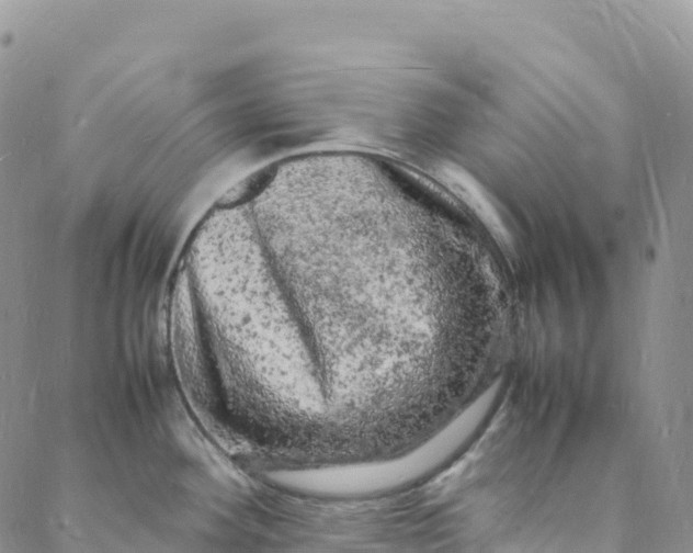 X0000088031292200705251107