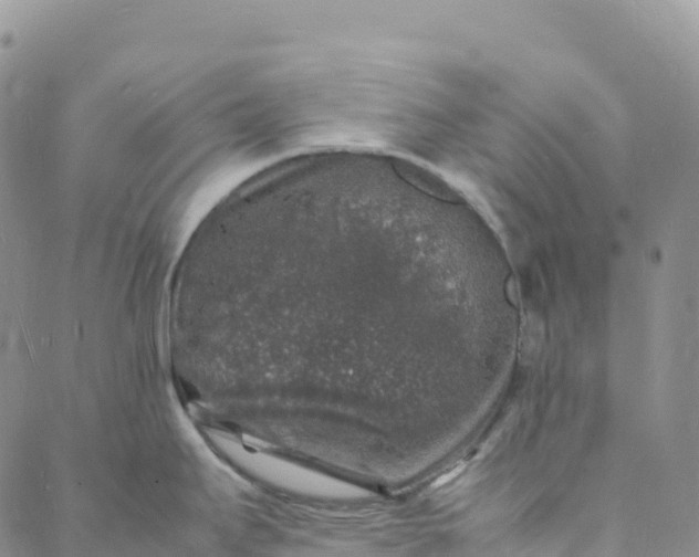 X0000088031295200705251107