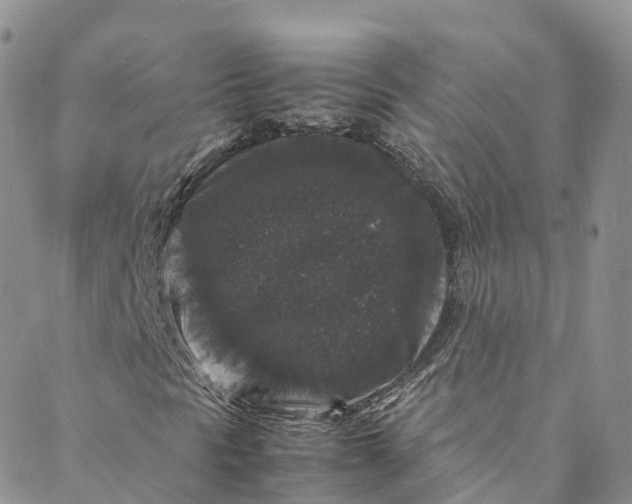 X0000088031297200705251106