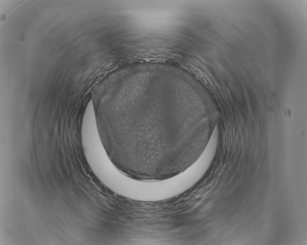 X0000088031298200705251106