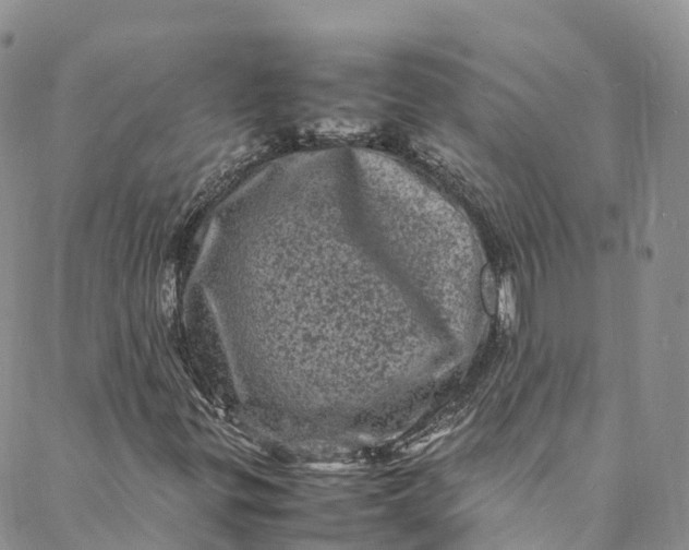 X0000088031299200705251106