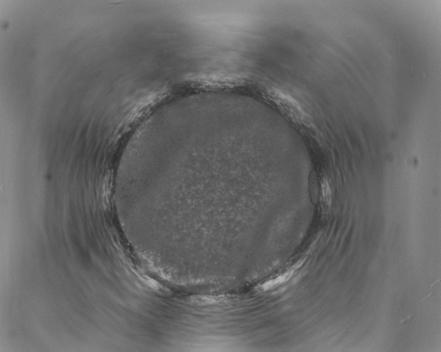 X0000088031300200705251106