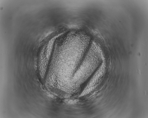 X0000088031301200705251106