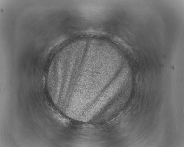 X0000088031302200705251106