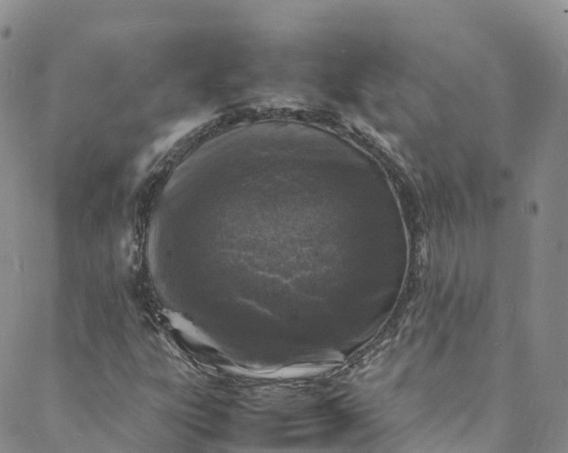 X0000088031303200705251106