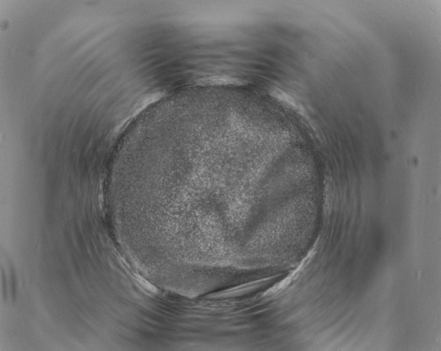 X0000088031305200705251106