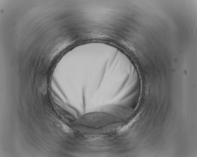 X0000088031306200705251106