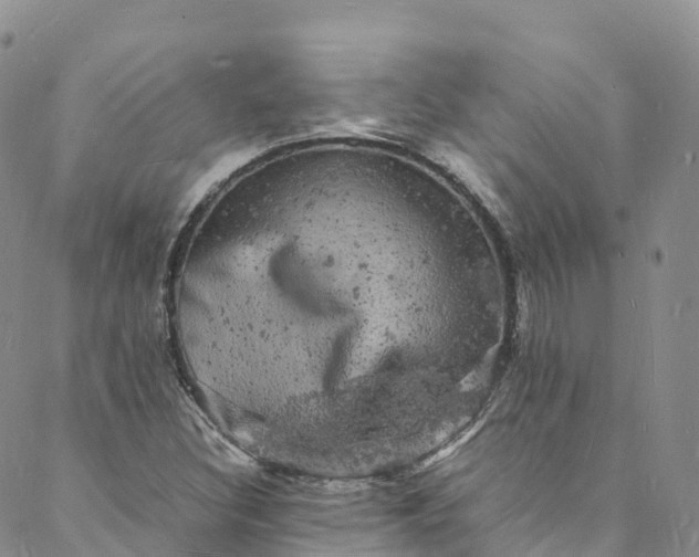 X0000088031308200705251106