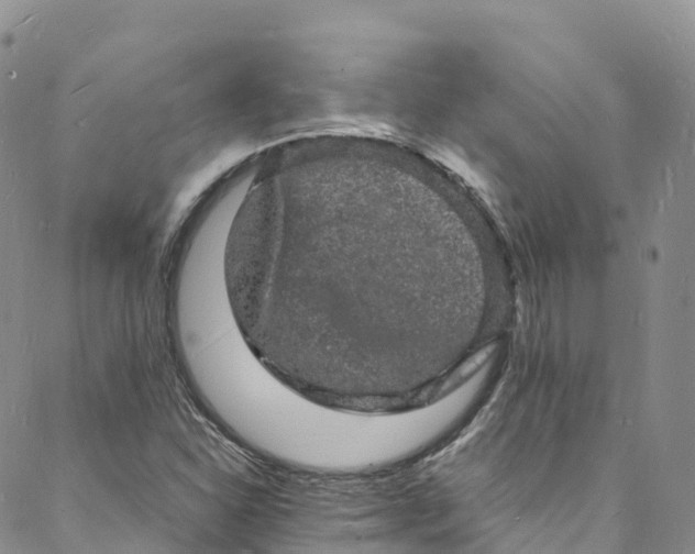 X0000088031310200705251106