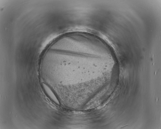 X0000088031312200705251106