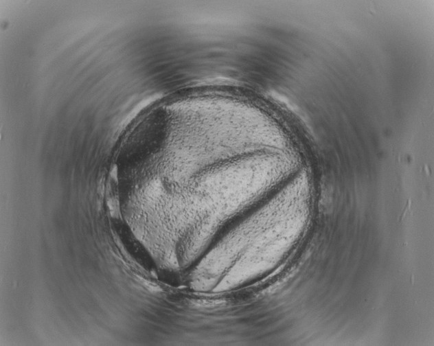 X0000088031313200705251106