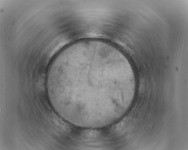 X0000088031314200705251106