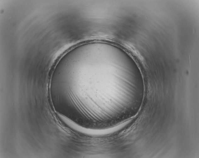 X0000088031316200705251107