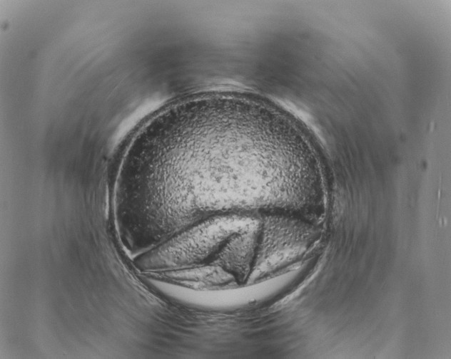 X0000088031317200705251107