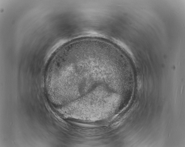 X0000088031318200705251107