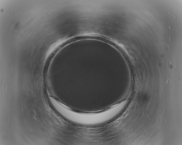 X0000088031319200705251107