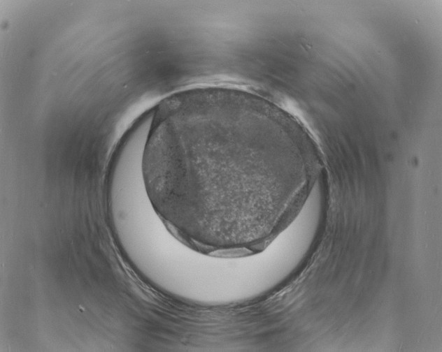 X0000088031320200705251107