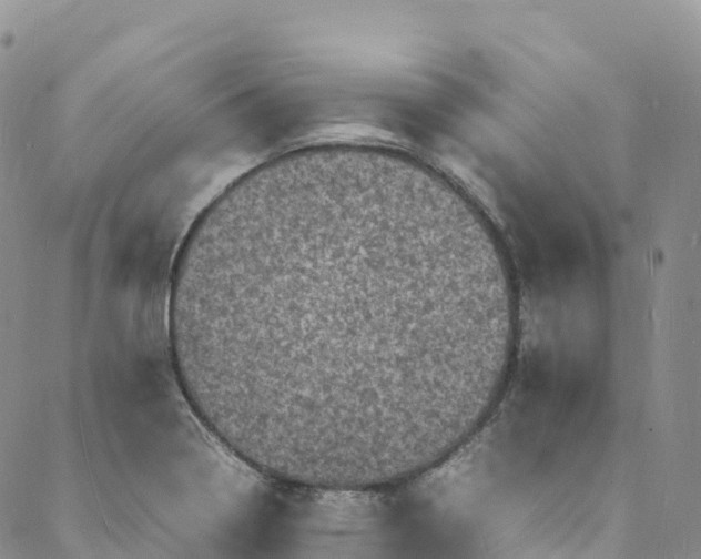 X0000088031322200705251107