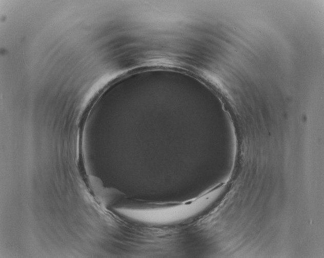 X0000088031323200705251107