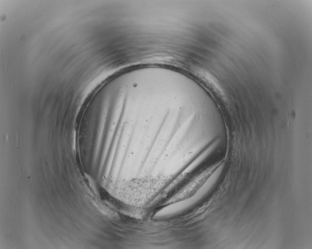 X0000088031324200705251107