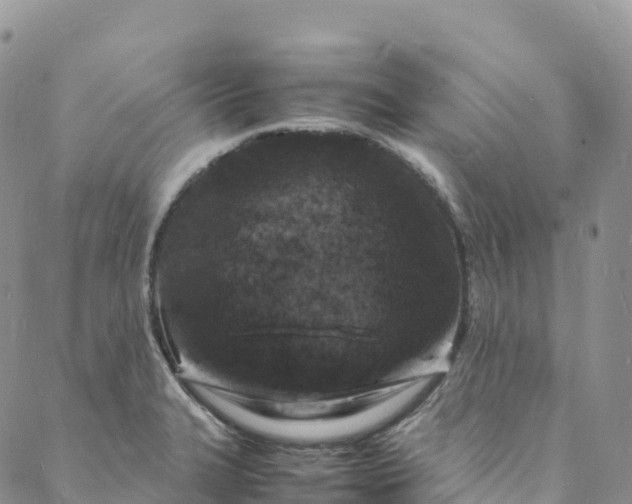 X0000088031327200705251107