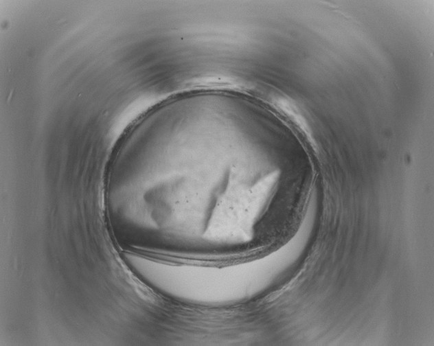 X0000088031328200705251107