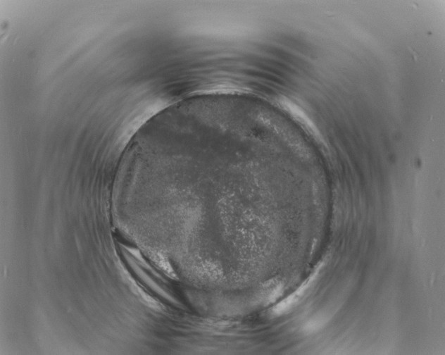 X0000088031329200705251107