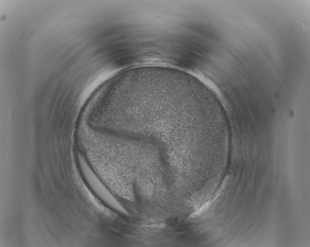 X0000088031333200705251107