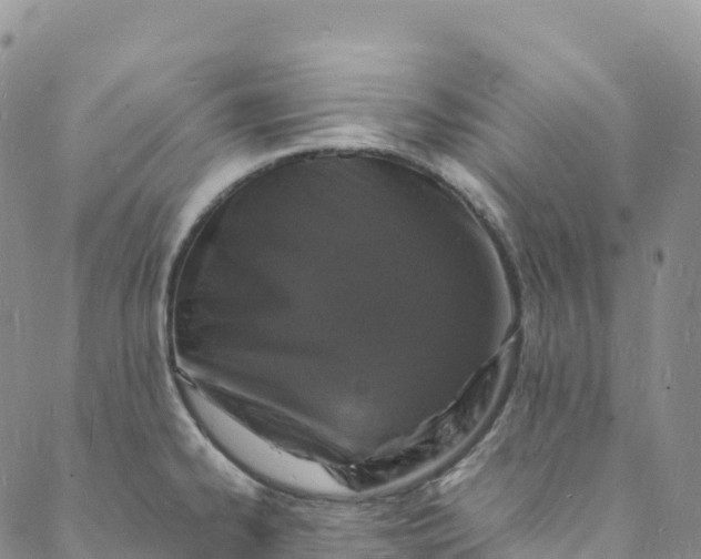 X0000088031334200705251107