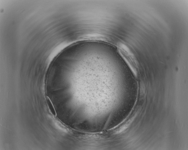 X0000088031336200705251107