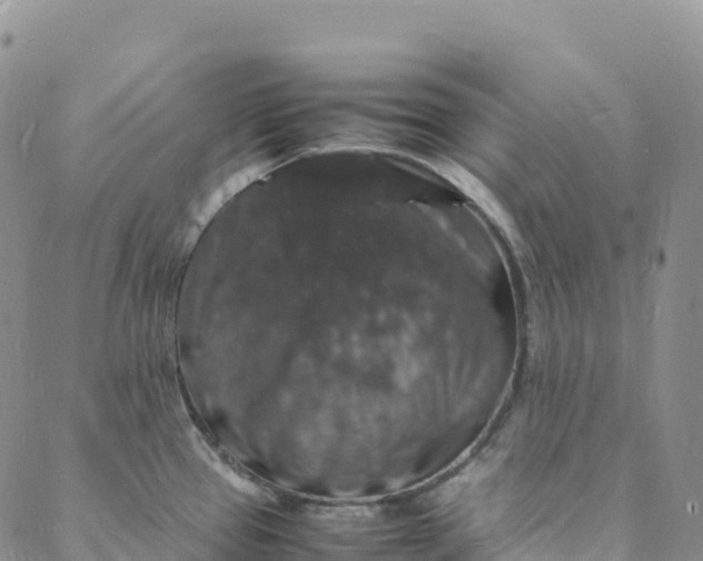 X0000088031337200705251107