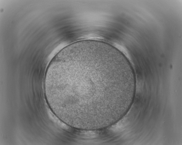 X0000088031338200705251107