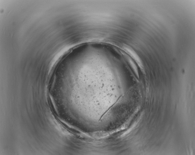 X0000088031340200705251107