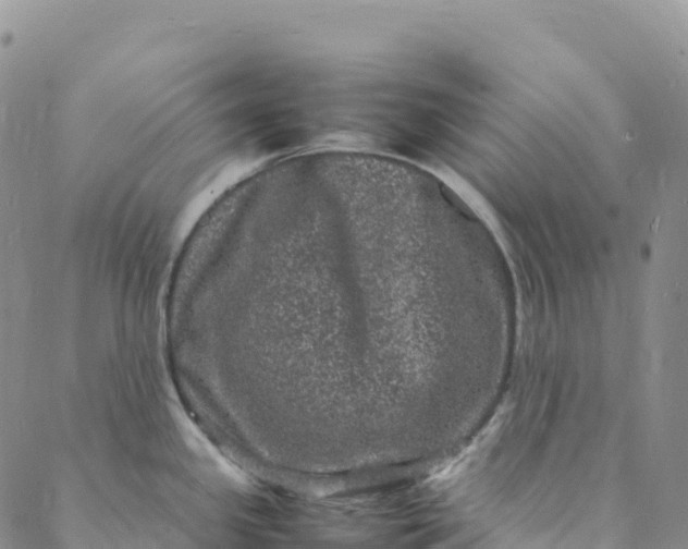 X0000088031341200705251107