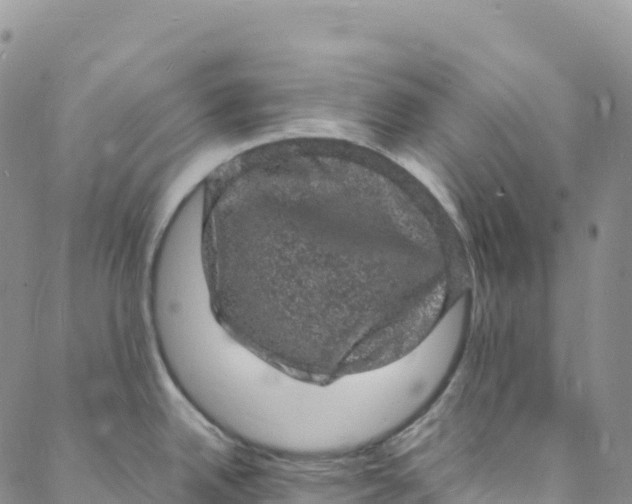 X0000088031342200705251107