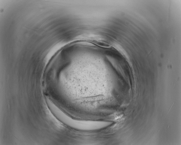 X0000088031344200705251107