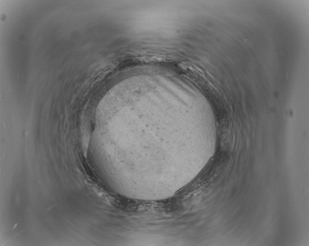 X0000088031345200705251106