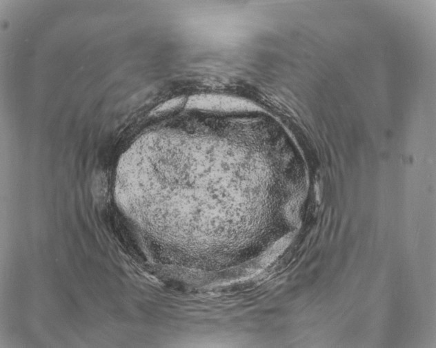 X0000088031347200705251106