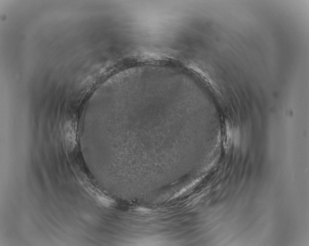 X0000088031348200705251106