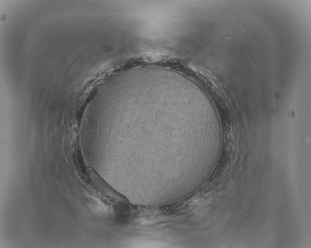 X0000088031349200705251106