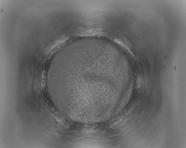 X0000088031350200705251106