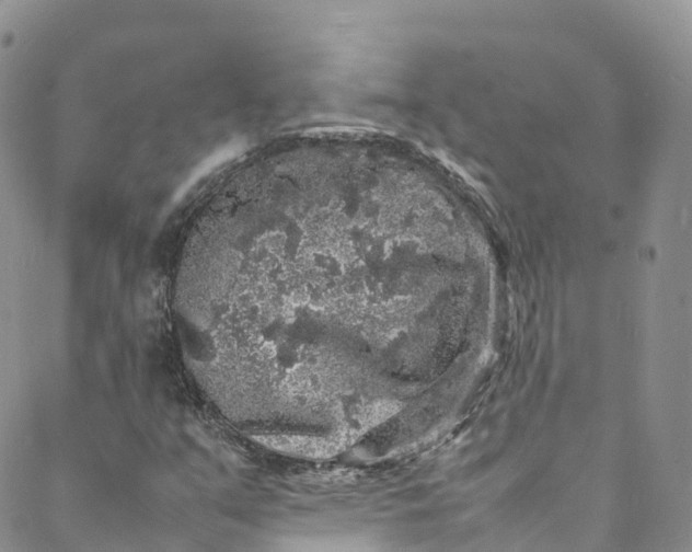 X0000088031351200705251106