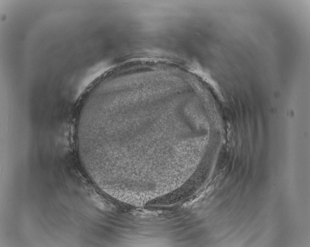 X0000088031352200705251106