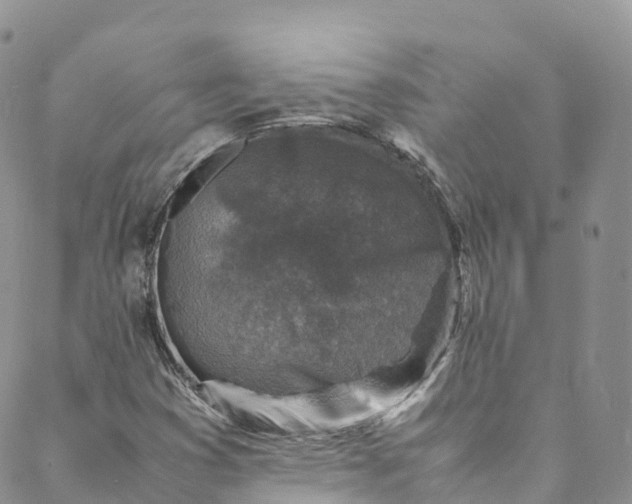 X0000088031353200705251106