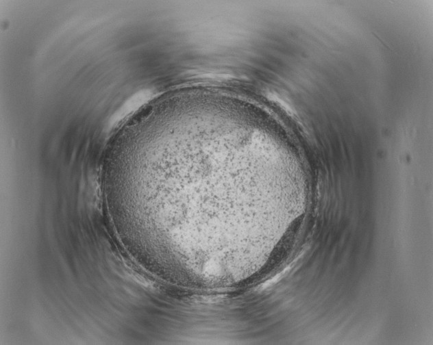 X0000088031354200705251106